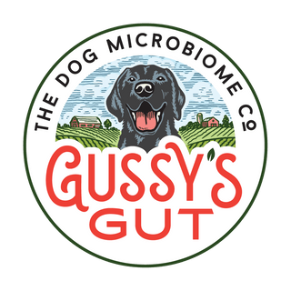 GUSSY'S GUT